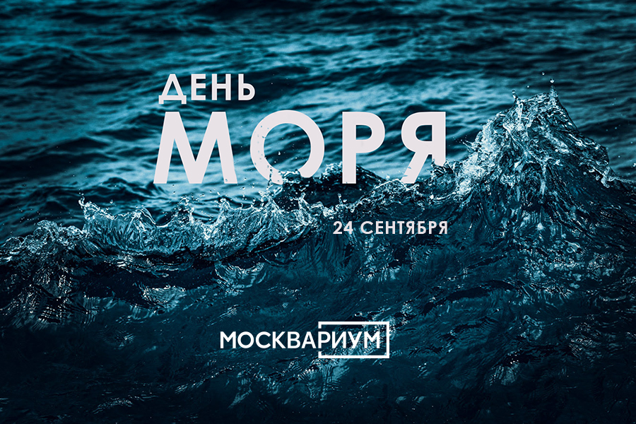 День человека моря фото