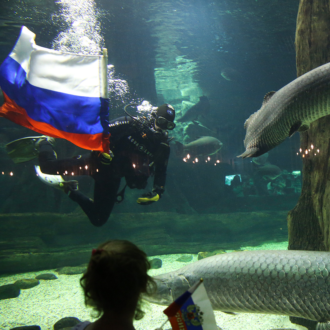 Москвариум фото внутри аквариум