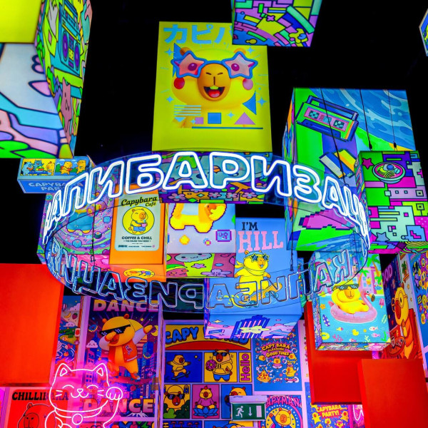 Мультимедийная выставка Капибарабууум